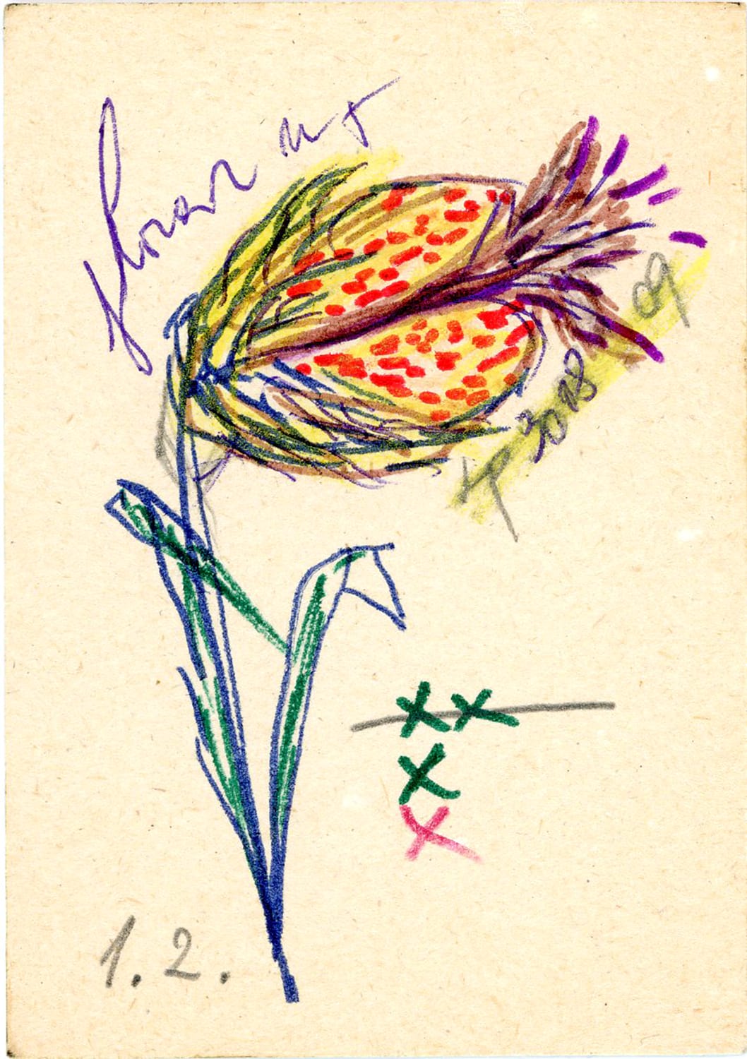 FLORAR001