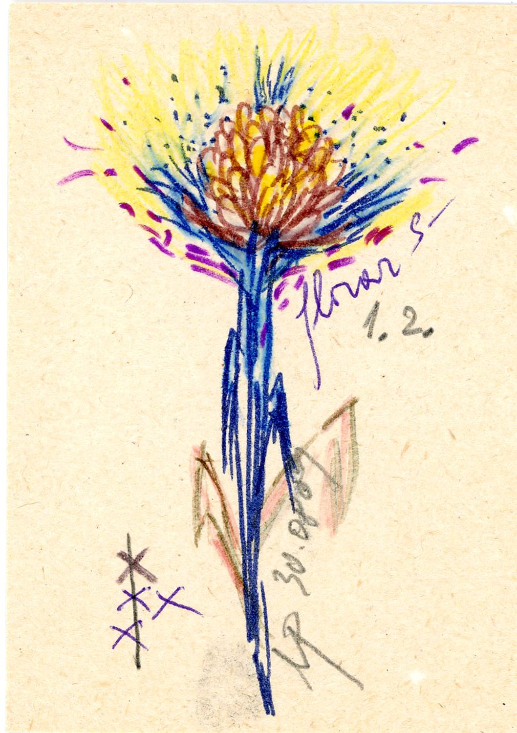 FLORAR002