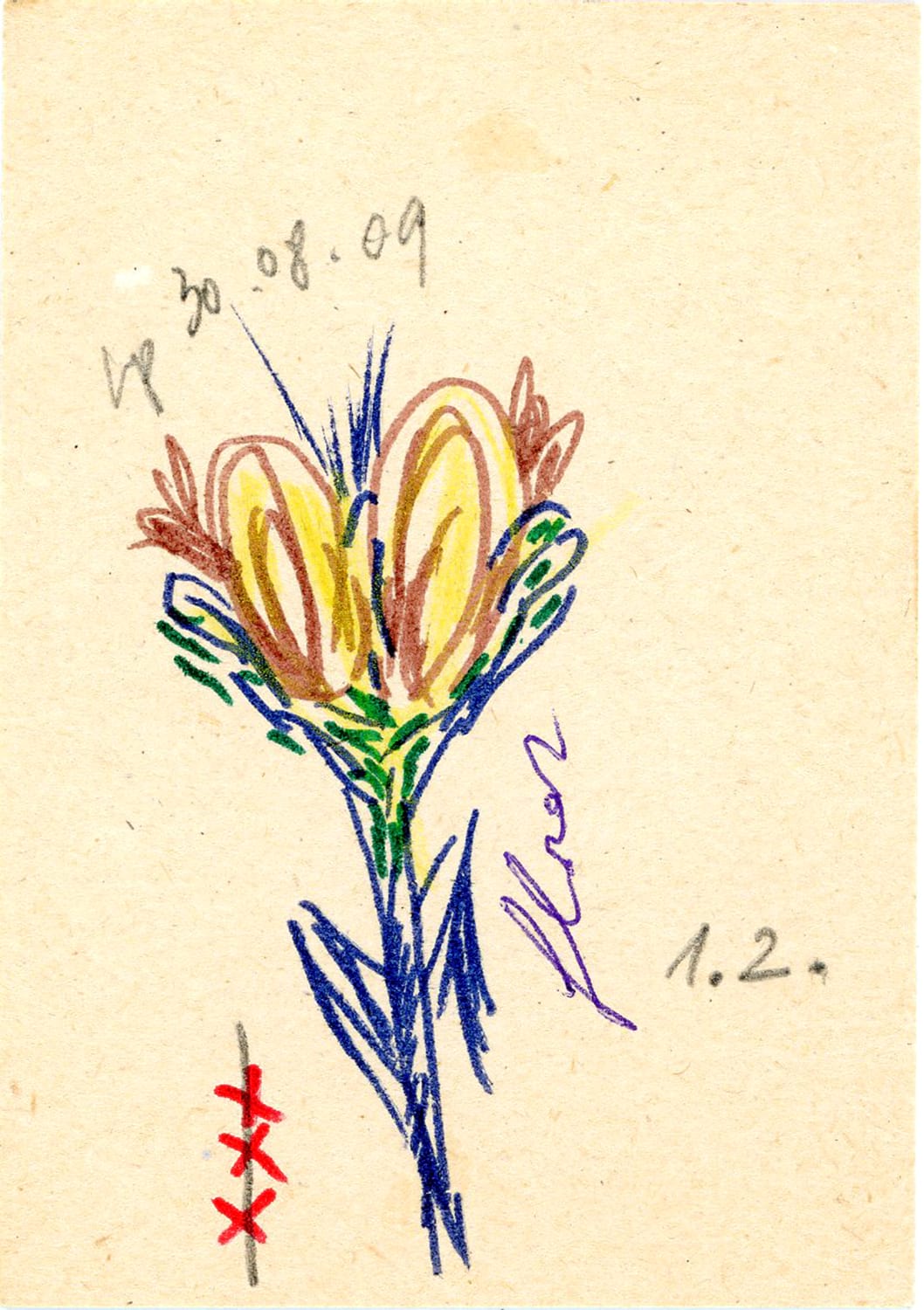 FLORAR
