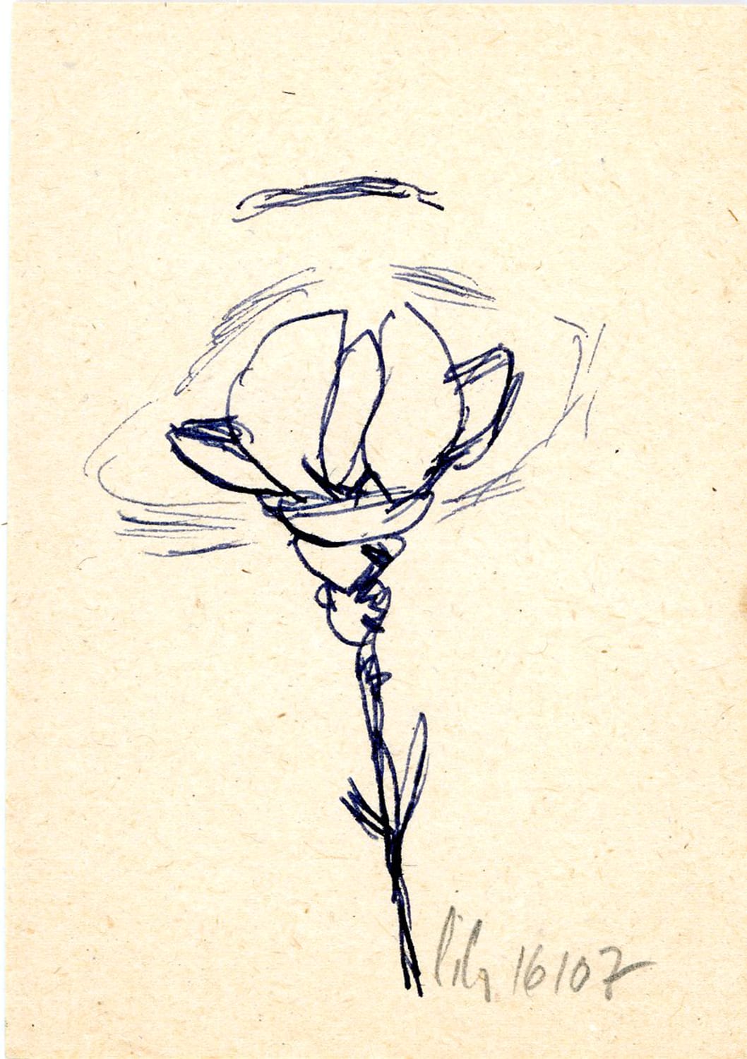 FLORAR005