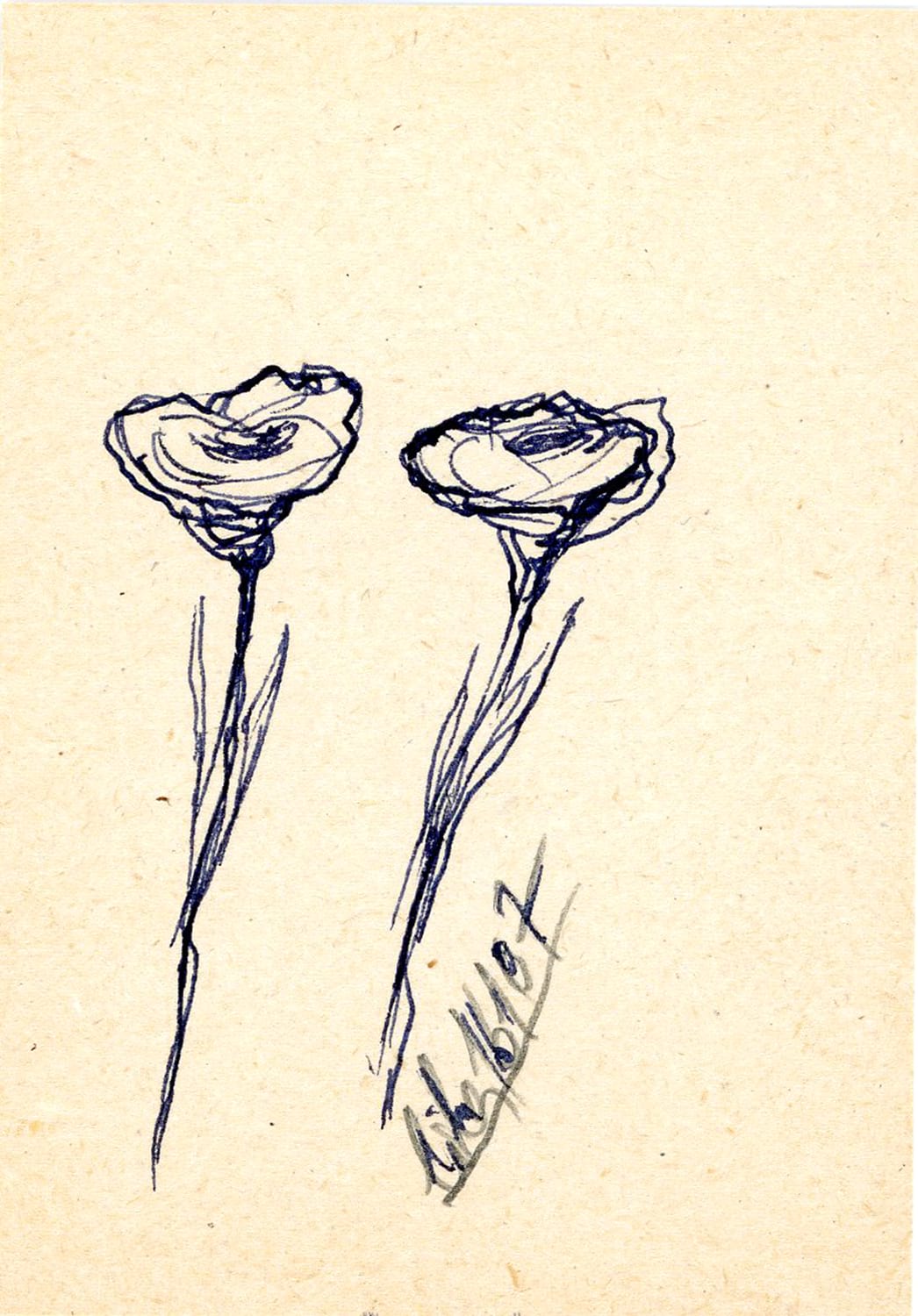 FLORAR006