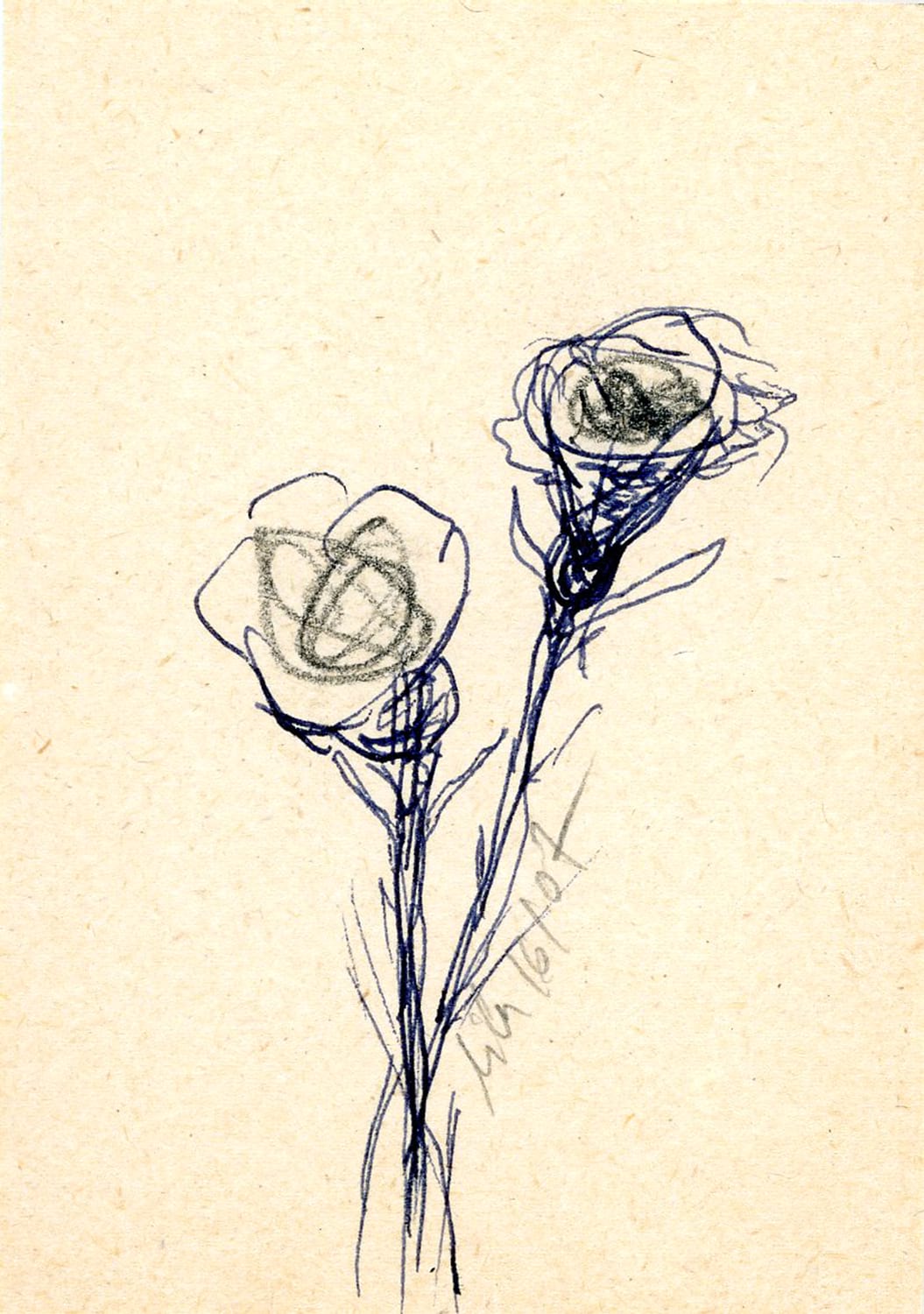 FLORAR007