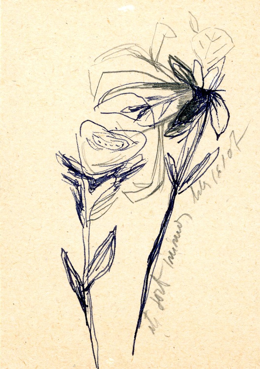 FLORAR008