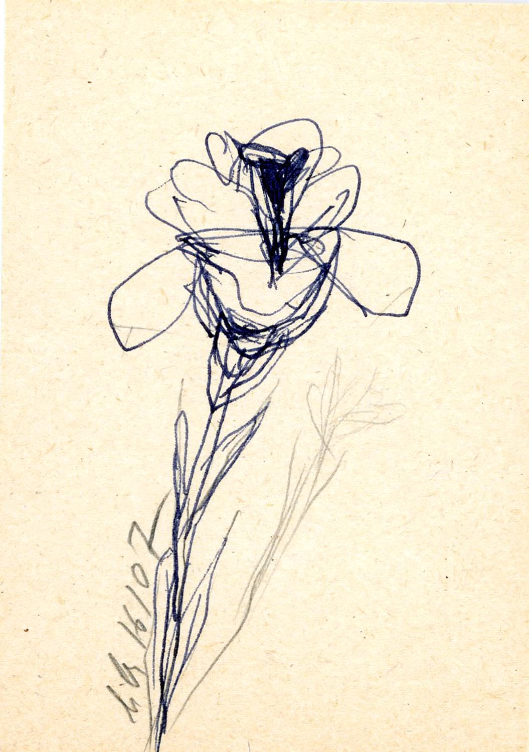 FLORAR009