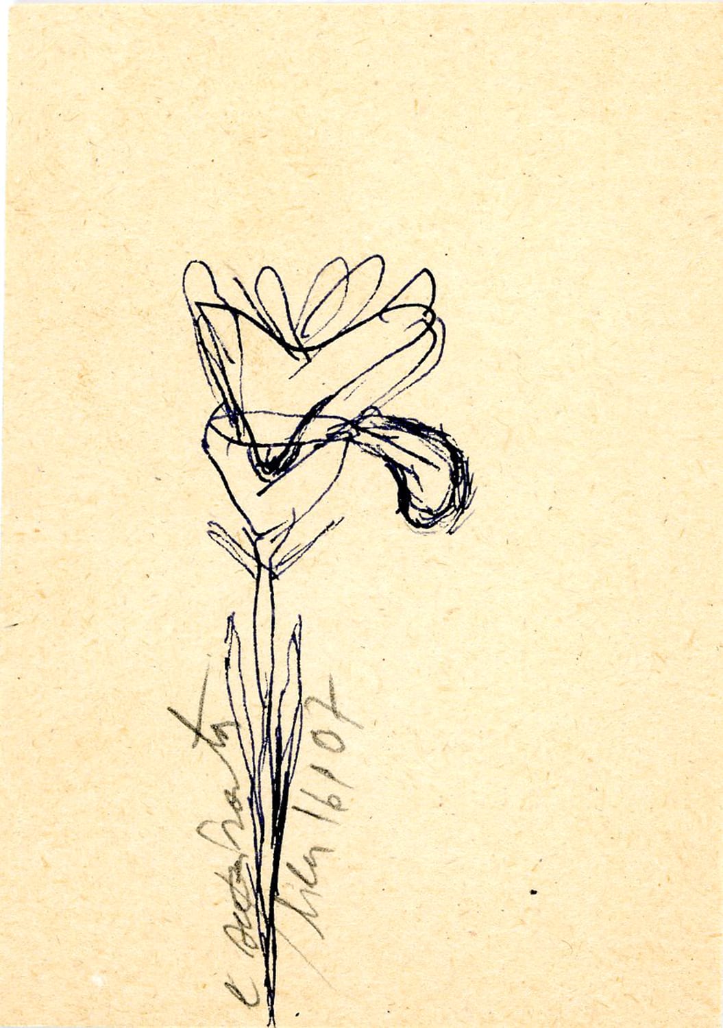 FLORAR011