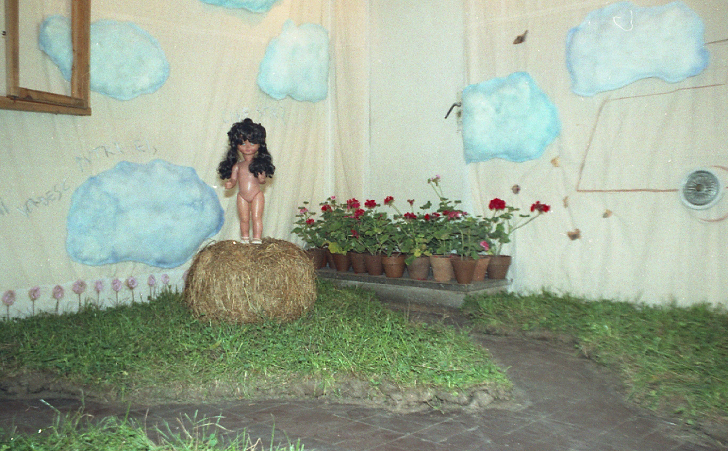 iarba-verde_04